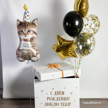 Коробка с шарами «Добрый котик» фото