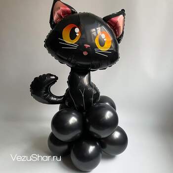 Пойнт "Черная кошка" фото
